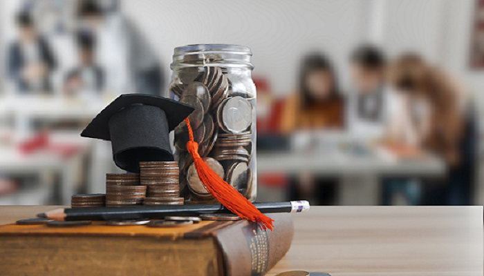 بورسیه صد در صد ترکیه