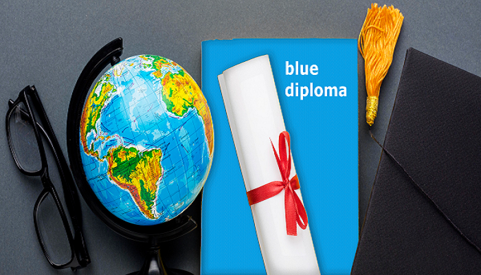 دیپلم آبی ترکیه یا دیپلم ماوی چیست؟