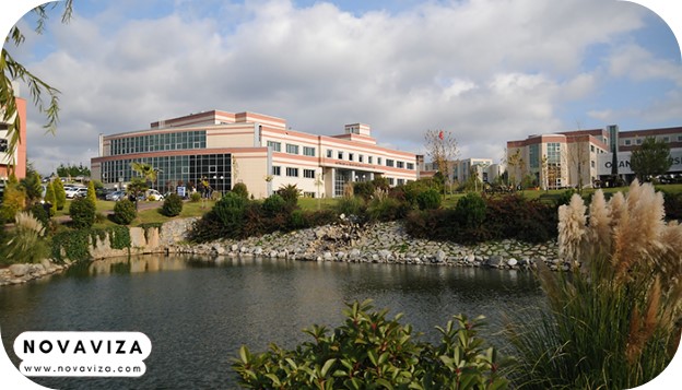 دانشگاه اوکان