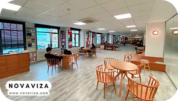 دانشگاه بیرونی