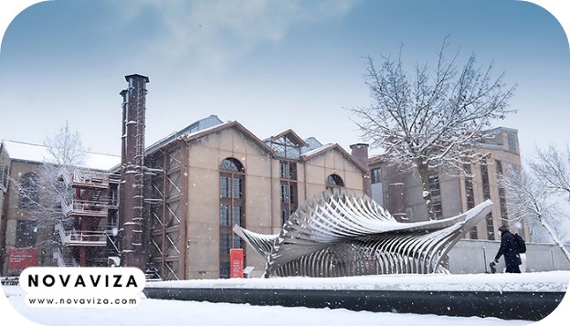 دانشگاه بیلگی 