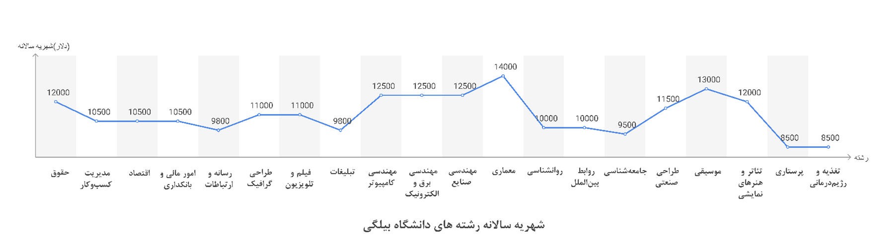 دانشگاه بیلگی 