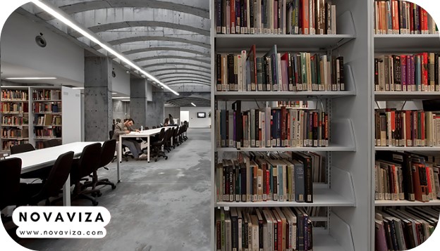 دانشگاه بیلگی 