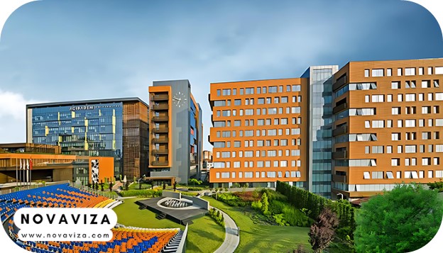 دانشگاه آجیبادام (Acıbadem University)