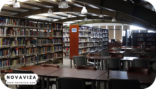 دانشگاه آرل ترکیه