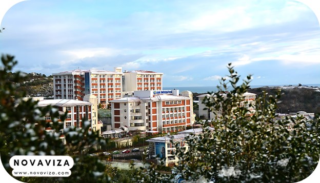 دانشگاه ایشیک (Işık University)