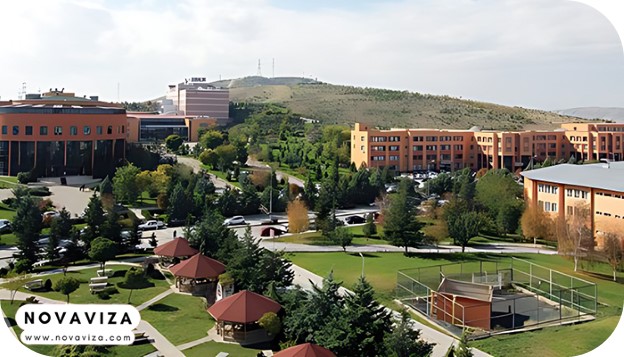 دانشگاه باشکنت 