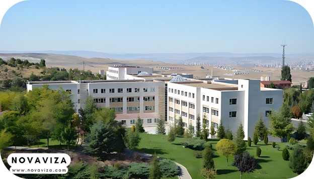 دانشگاه باشکنت 